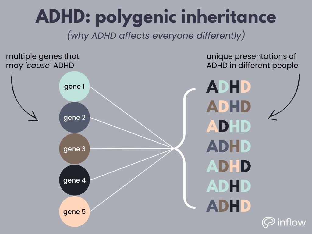 ADHD explained How it's passed on through generations